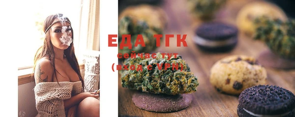 спиды Вяземский