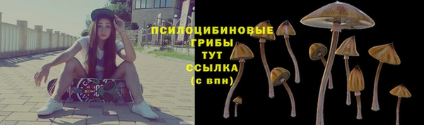 первитин Горно-Алтайск