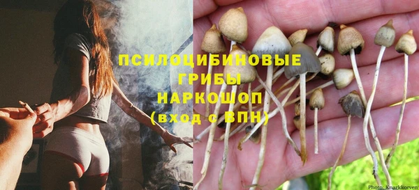спиды Вяземский