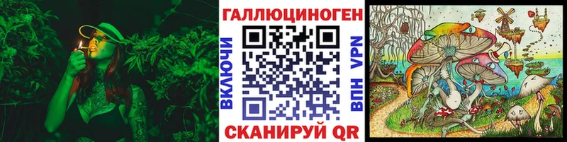 купить наркоту  Добрянка  Галлюциногенные грибы Psilocybine cubensis 